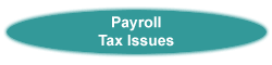 Payroll Tax Issues