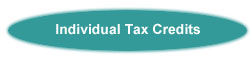 Individual Tax Credits